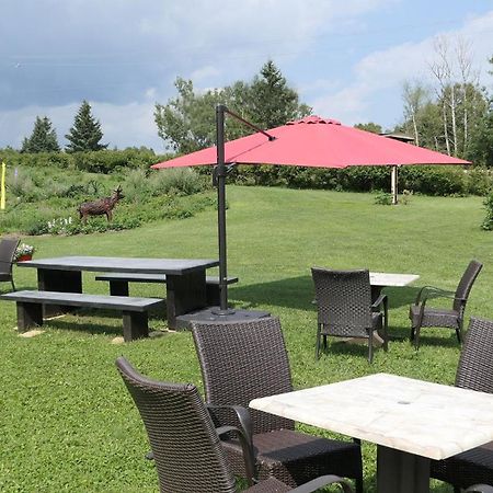 Auberge La Daina Baie-Saint-Paul Eksteriør bilde